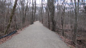 A View of the Center Trail