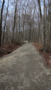 A View of the Center Trail Looking North